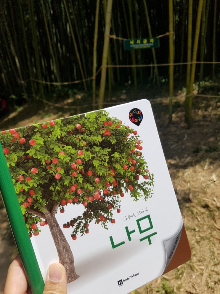  백일독서ㅡ독전/독후활동(13/50)ㅡ나무