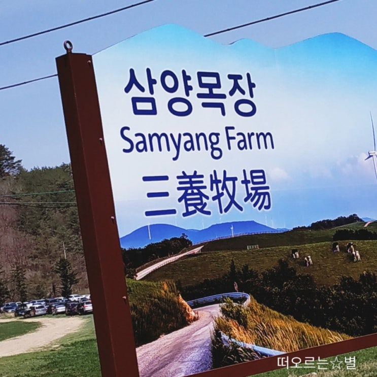  삼양목장으로 양떼만나러 고고