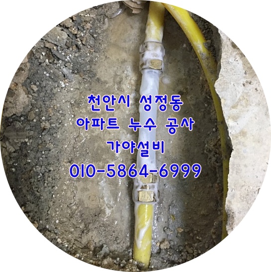  천안 성정동 활림2차아파트 활림목련아파트 온수배관터짐베란다에서뜨거운물이흘러나와요 천안누수 아파트물샘