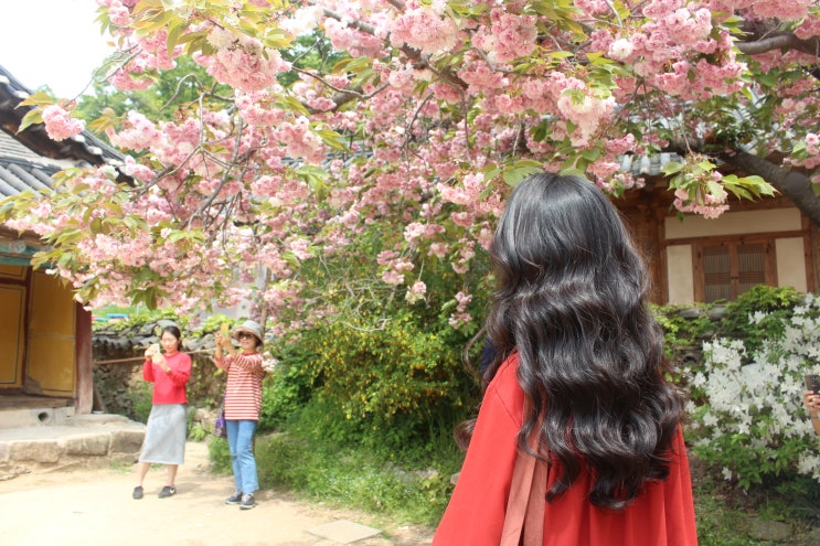  서산 개심사 가기 딱좋은 날씨(5/4)