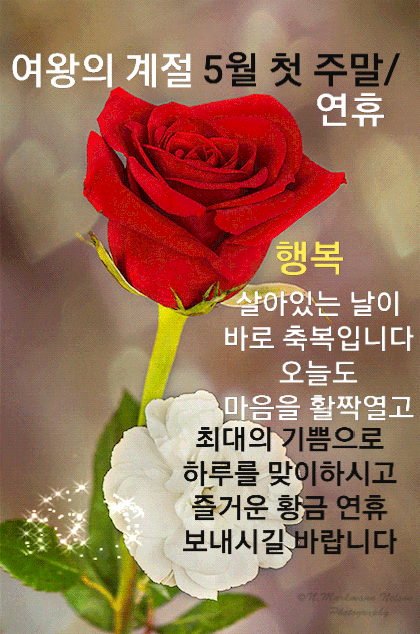  역사이야기