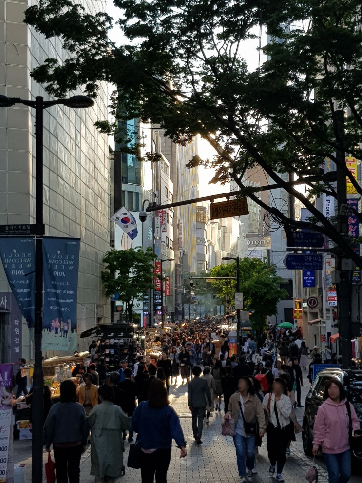  [상권답사] 명동-종로 야간 상권답사