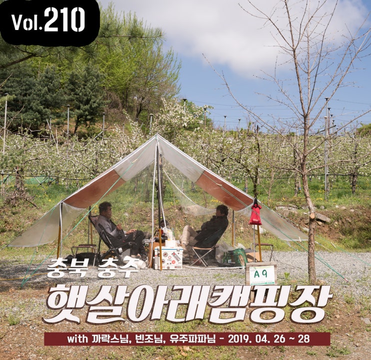 210th 충북 충주 캠핑장 햇살 아래 농장. 풍경 좋고 체험도 가득