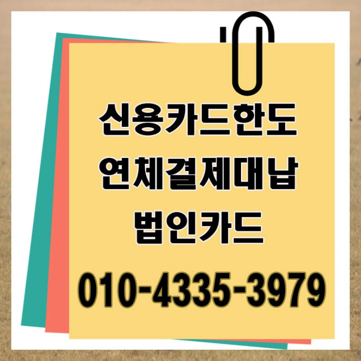 카드대납대출 안성 시흥 잔여 한도 업체 정보의 해답이 보인다.