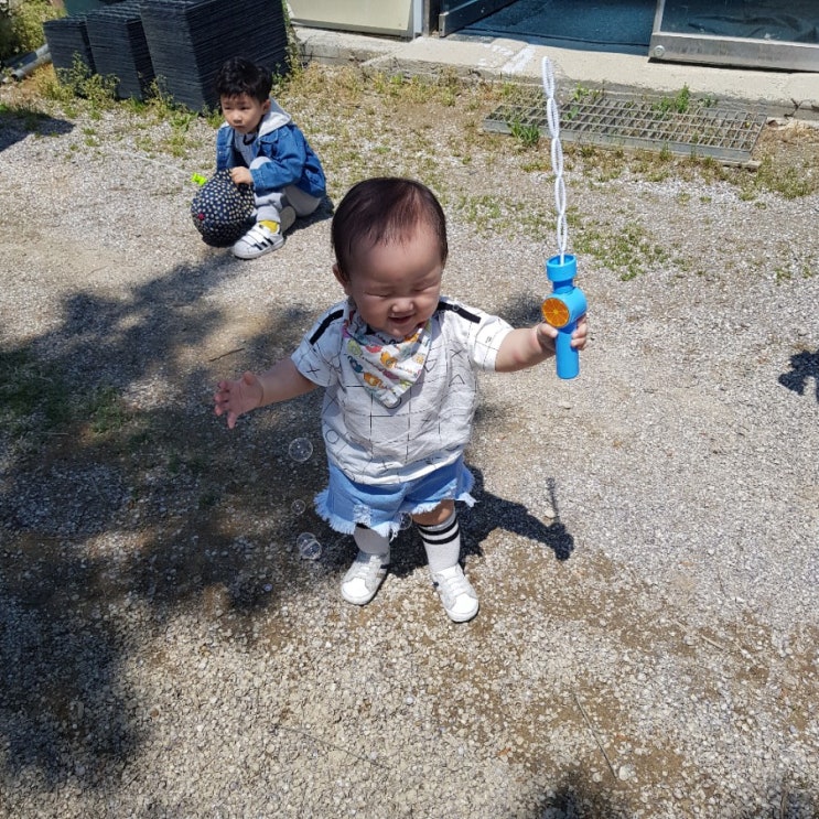  지호일상 435일 :) 어린이집 토마토체험 후두염