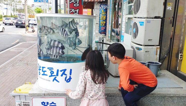  마산 댓거리 횟집, 푸짐하게 나오는 사량도횟집