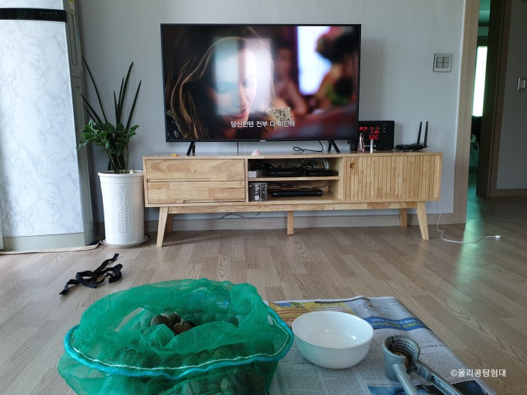  20190502 고사리뜯고 호두까고 드라마도 봄