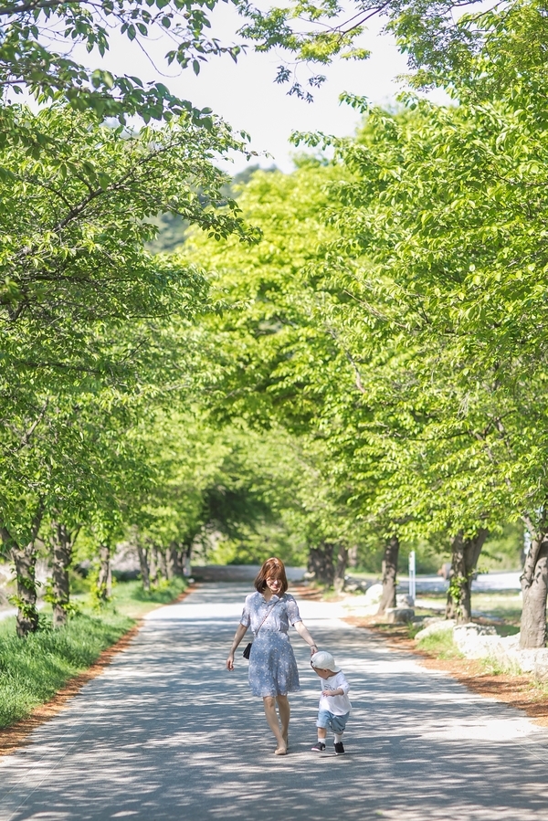  [국내여행] 제천여행 가볼만한 곳 , 제천 청풍호반 케이블카