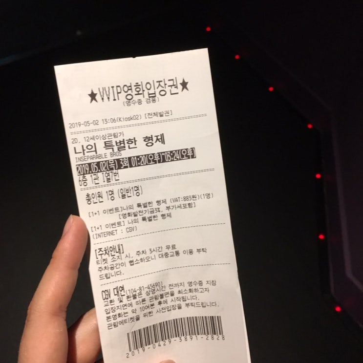  영화/나의 특별한 형제