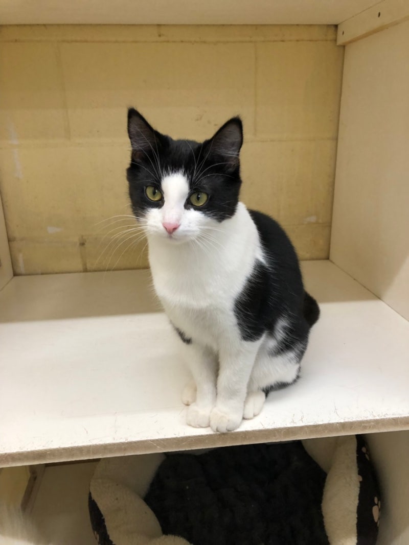 페렌들리 | 닥터페렌들리 (@perendly_official) • Instagram photos and videos, image size:800x1067