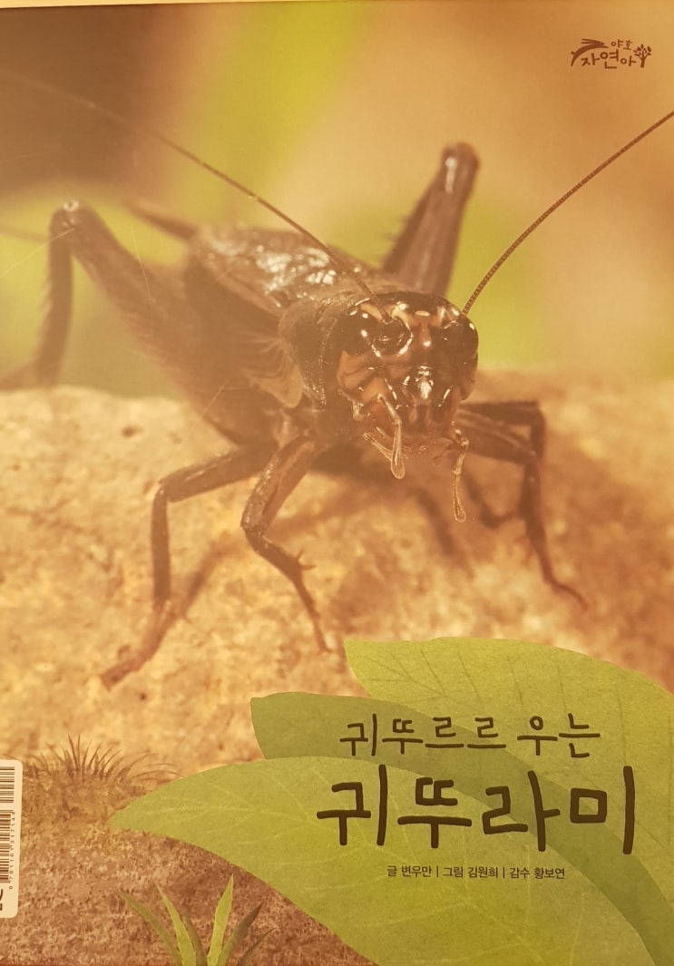  독전 독후 38 : 야호 자연아 (귀뚜라미, 매미)