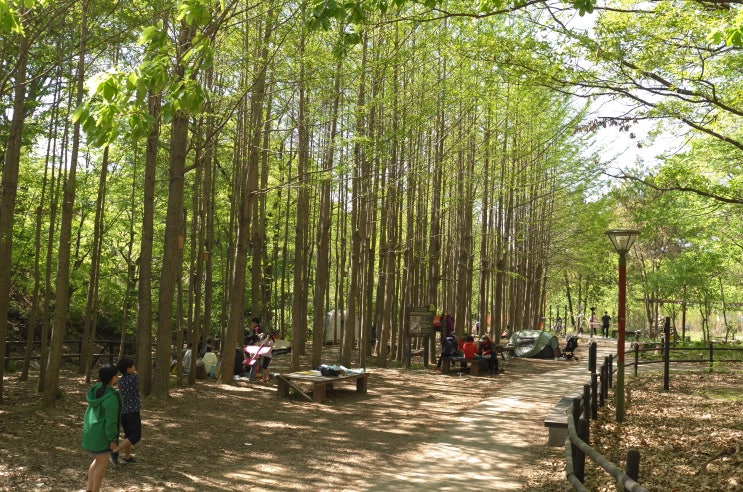  걸음걸음 쌓아올리기 좋은 곳... 북한산둘레길 마실길 그리고 진관사