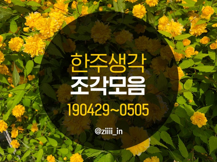  한주생각 조각모음 190429~0505