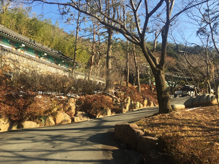  따뜻한 겨울 한적하고 조용한 절을 방문
