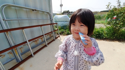  5월여행] 제부도 브이로그ㅣ바람부는 제부도ㅣ애니멀카페ㅣ동물체험ㅣ말하는 앵무새ㅣ모모하우스