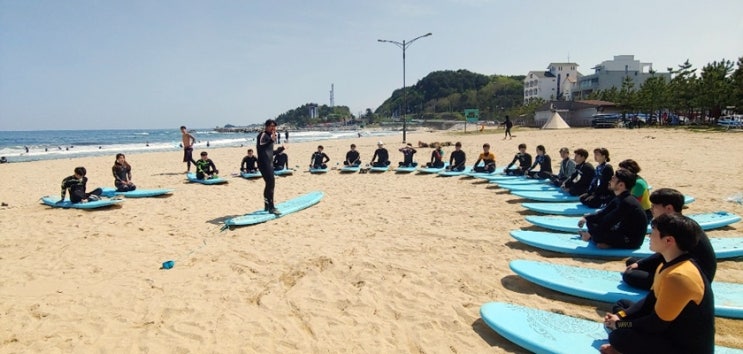  양양서핑 행서프로 버스까지