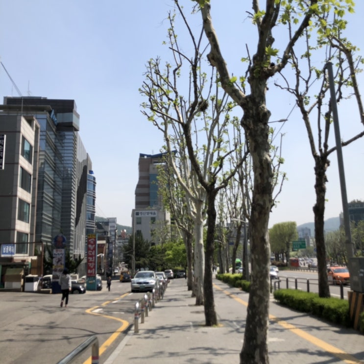  양재 시민의 숲