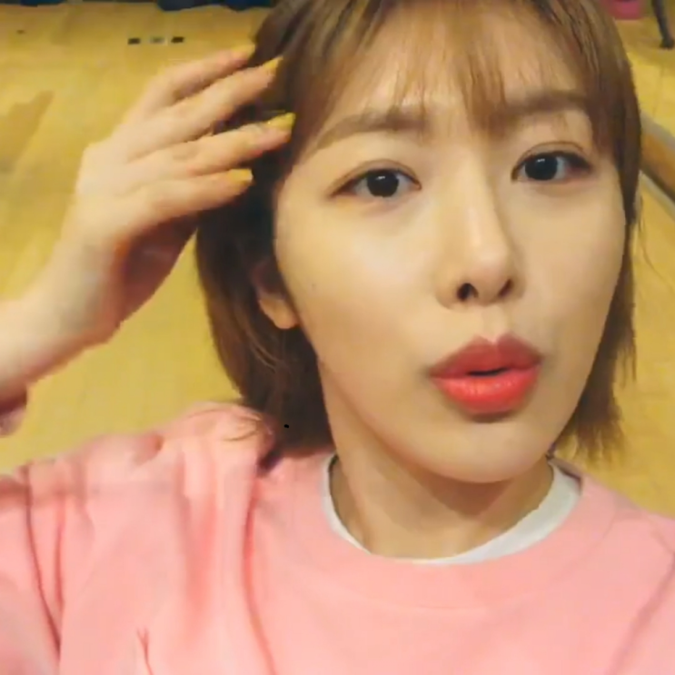 소나무 의진 (홍의진) 무보정이미지
