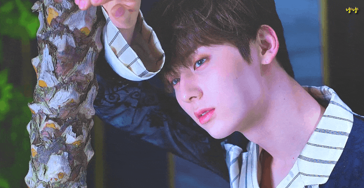  [황민현]190506무엇이 꽃일까요?황민현