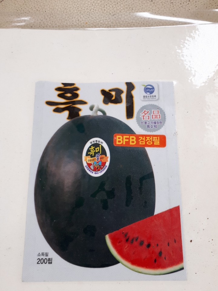  짭잘이토마토모종 짭짤이토마토모종파는곳 인천ㆍ부천ㆍ김포에서 가까운 씨아이플라워 모종판매장