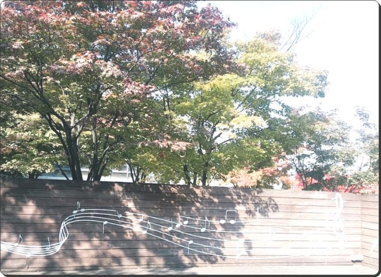  여름하면 빼놓을 수 없는 달콤한수박 동두천시맛집