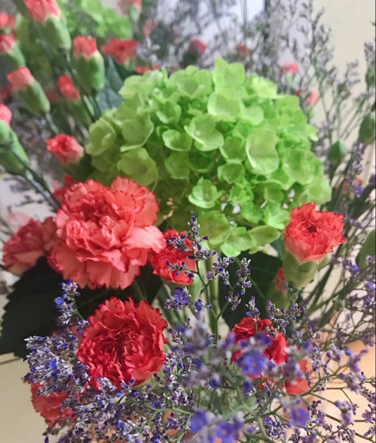 꽃시장에서 사온 꽃과 화분 손질하기 (꽃 손질방법 & 오래보는 tip) 꽃시장에서 사온 꽃과 화분 손질하기 (꽃 손질방법 & 오래보는 tip)