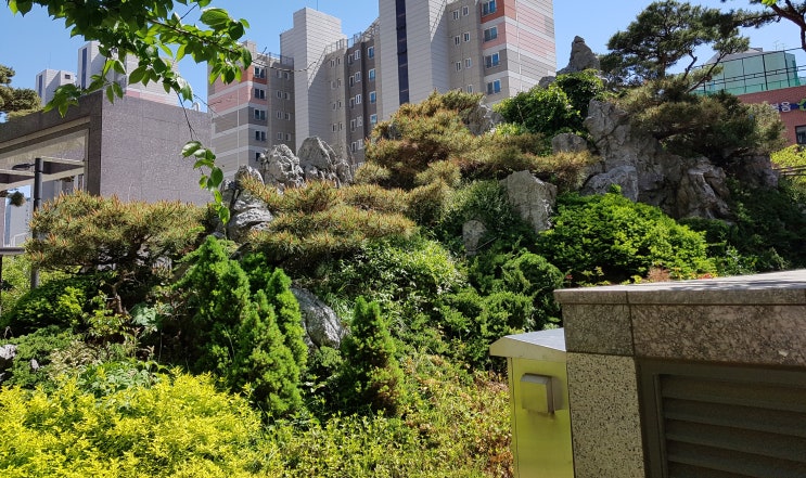  20190506
