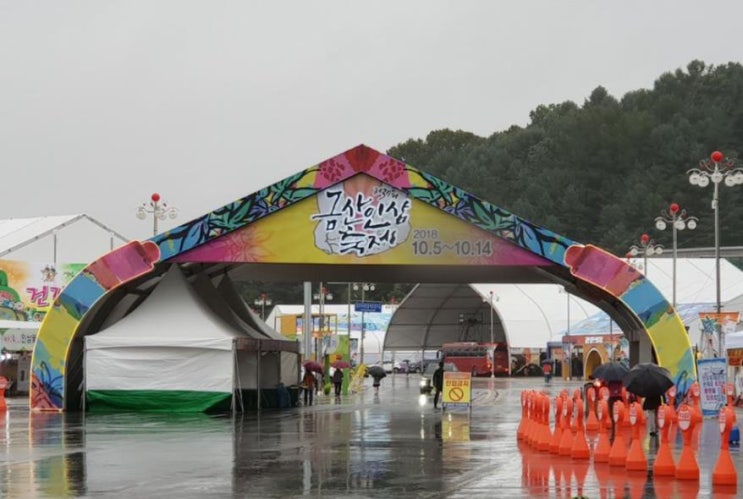  충남지역축제 알아보기