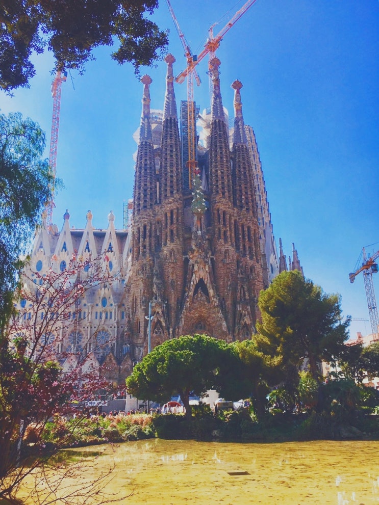 [스페인/바르셀로나 여행] 여긴 가야해! 사그라다파밀리아성당(ft. 여자혼자 유럽여행)