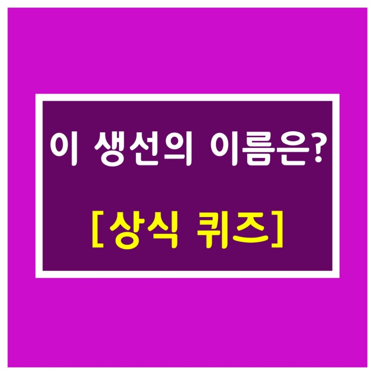  일반상식 [입큰 생선]