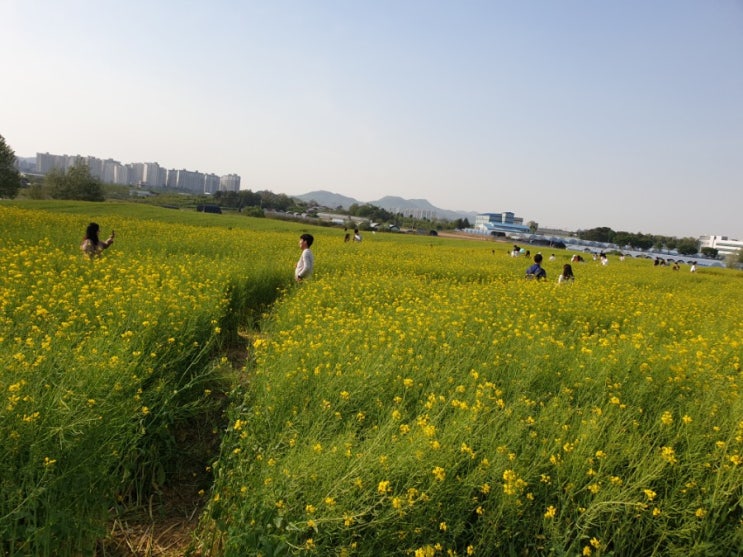 [서울근교 데이트] 안성여행/안성팜랜드/안성맛집투어