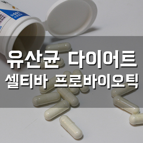  유산균다이어트 셀티바 프로바이오틱으로 건강하게 챙겨봐요