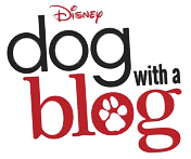  TV show: dog with a blog