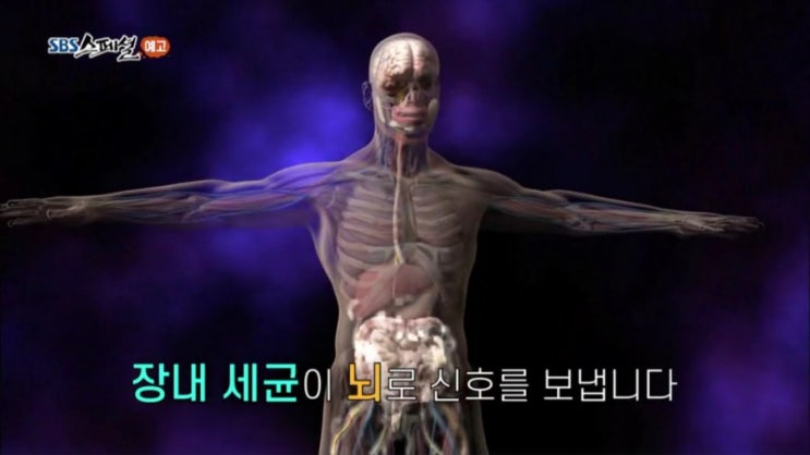   SBS스페셜 장내 세균 혁명 프로바이오틱스 프리바이오틱스 효능 효과 ! 복용후 설사 변비 방귀 감소