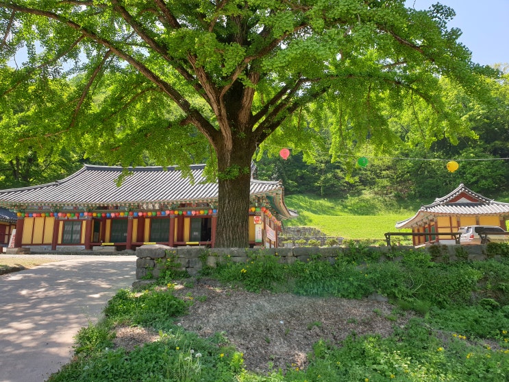  공주 영은사 심우도