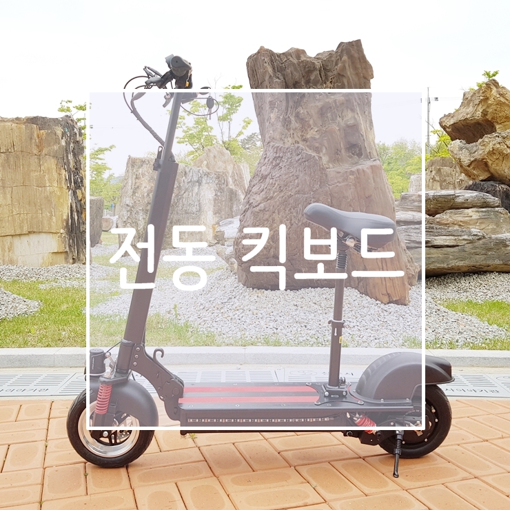  전동킥보드 자이로콥 G 프로 플러스 직접 구입한 후기
