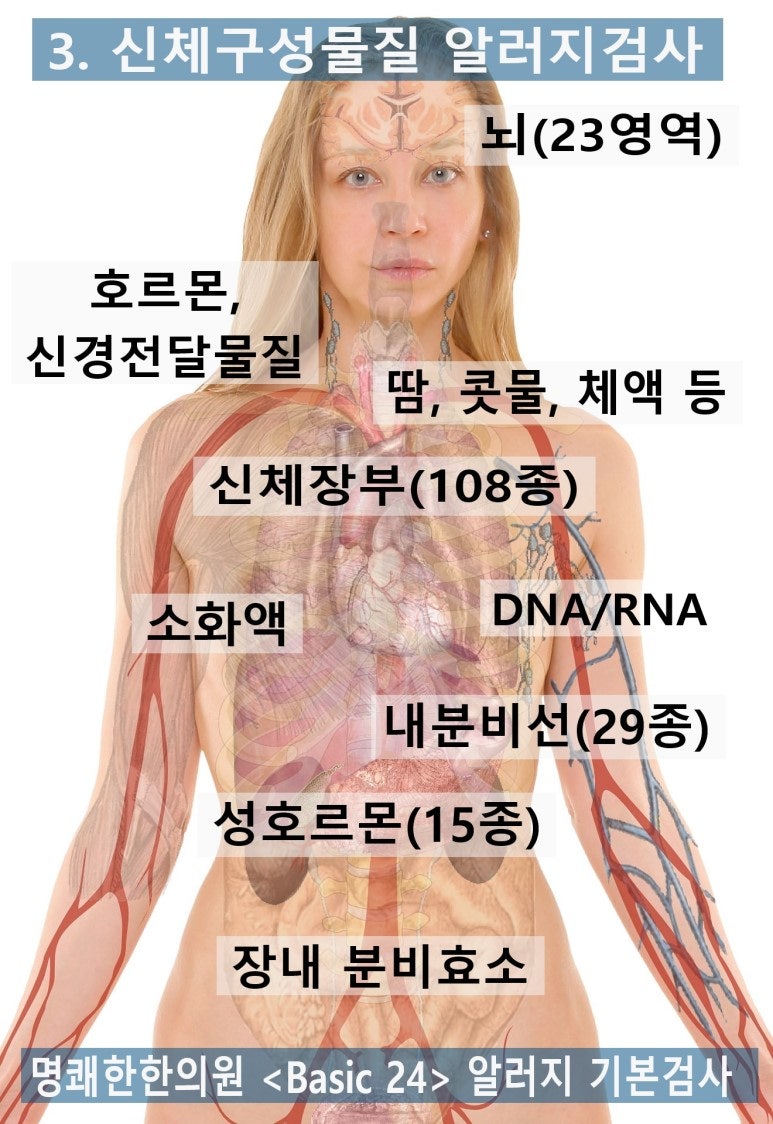 과 학 이 좋 아 지 는 S T E A M | PDF, image size:773x1124