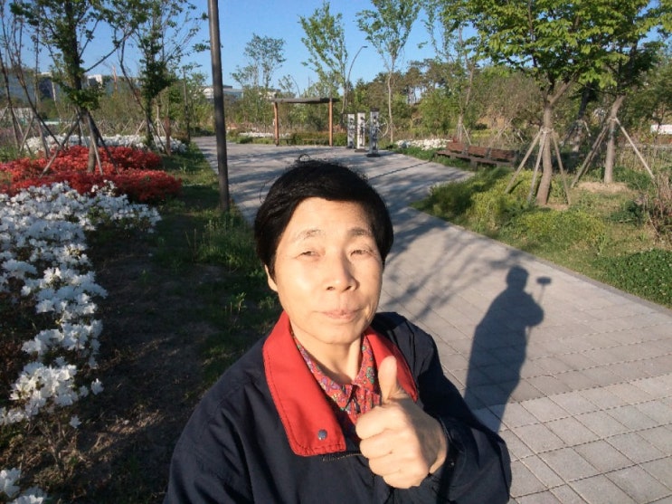  아침운동4일째
