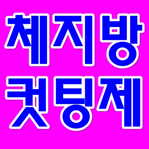  체지방컷팅제로 체지방 줄이는법