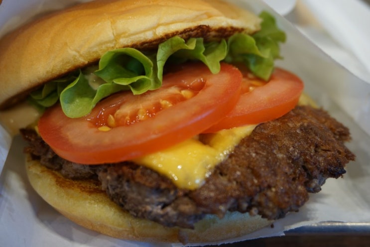  동대문역 맛집 두타몰 쉐이크쉑(Shake Shack) 쉑쉑버거/DDP 맛집