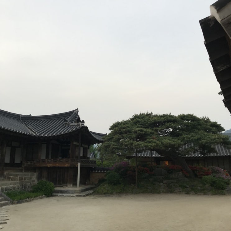  [함양개평마을]함양여행/개평일두고택/미스터션사인촬영지/솔송주문화관