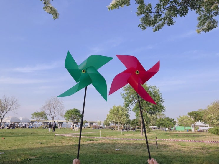  [5월 연휴 일상] 롯데월드타워 불꽃축제, 잠실 한강공원 나들이, 2019 코엑스 잇더서울 후기 !