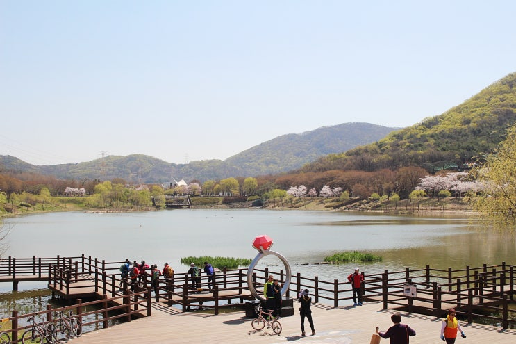  인천대공원 봄꽃놀이