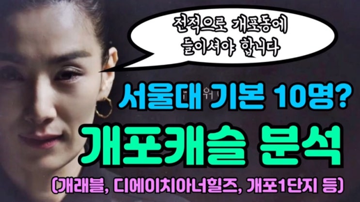  [개포동 3편] 서울대 기본 10명? 개포캐슬  (개래블, 디에이치아너힐즈, 개포1단지 등)