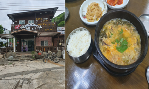  원기야 솟아라. 추어탕이 좋았던 태봉은행나무!
