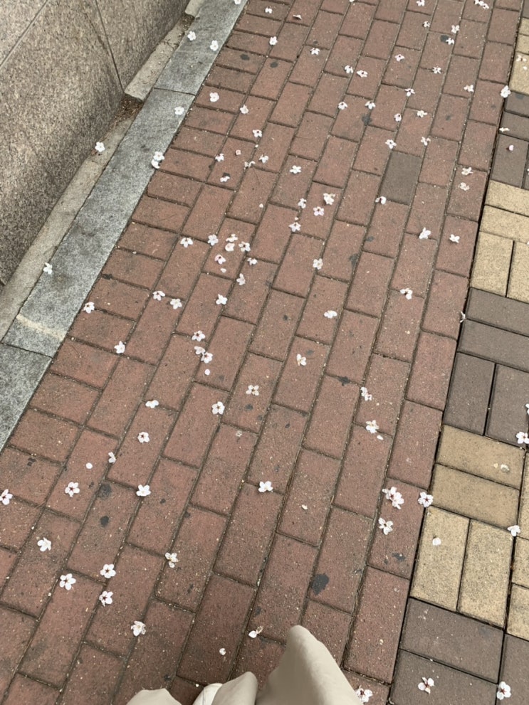  요즘 일상