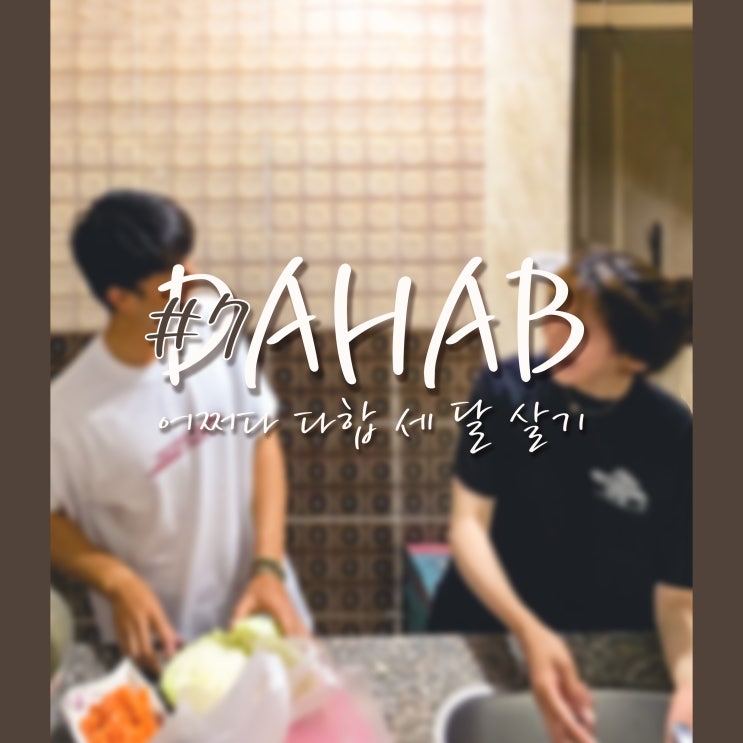  어쩌다 다합 세 달 살기 7화 : 엘토르 비자 연장 그리고 뜻밖의 동거인들의 등장