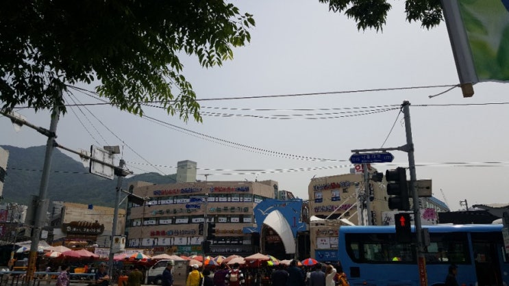  구포시장맛집 이원화구포국시