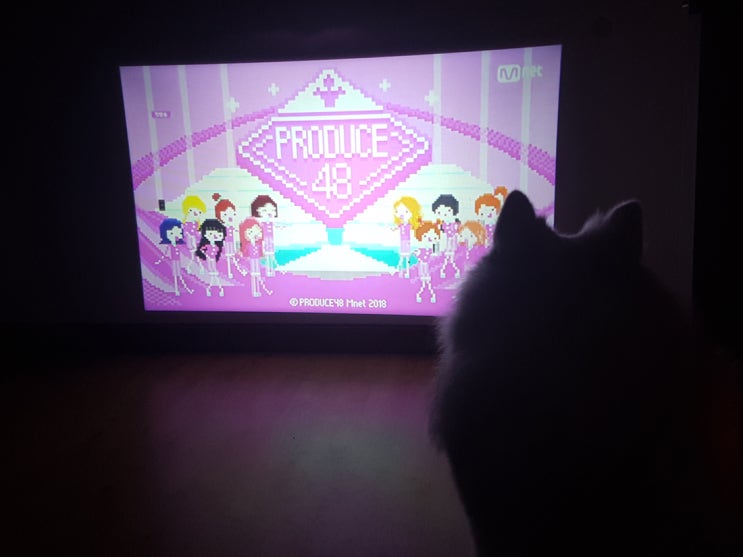  프로듀스101이 벌써 4시즌 4년차라니