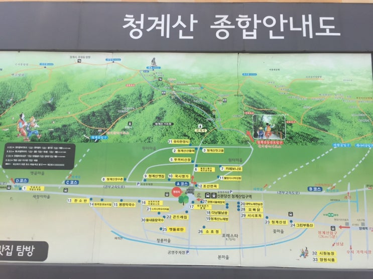  체력저질 등산초짜의 청계산 등반기(원터골등산로)